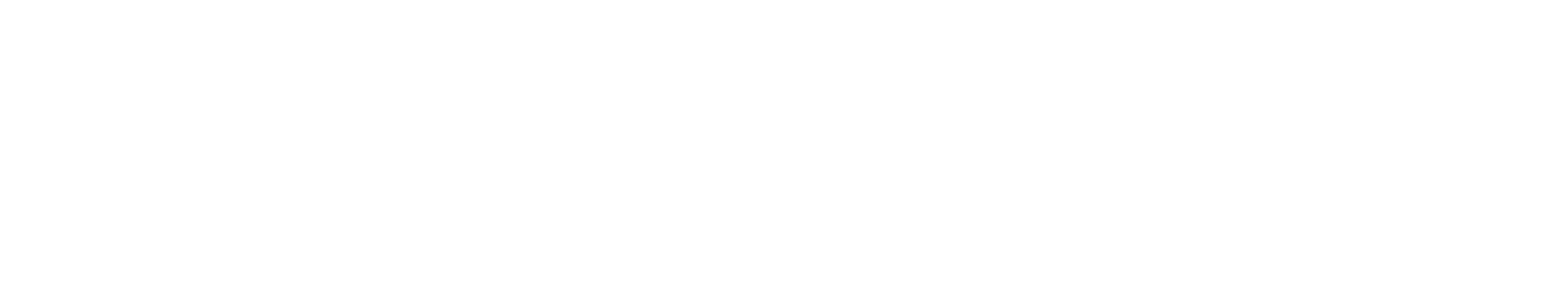 Geoino
